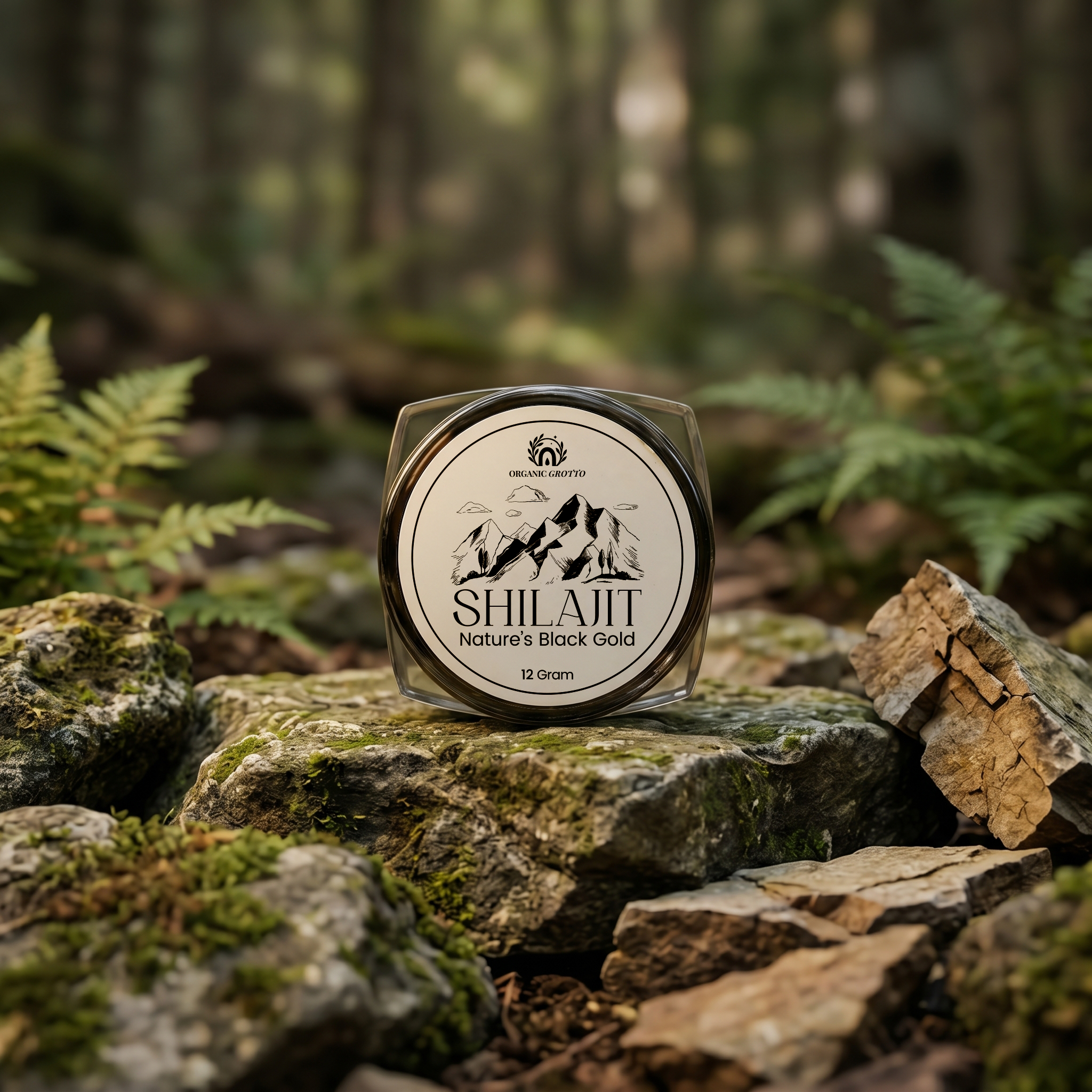 Shilajit (Salajeet)