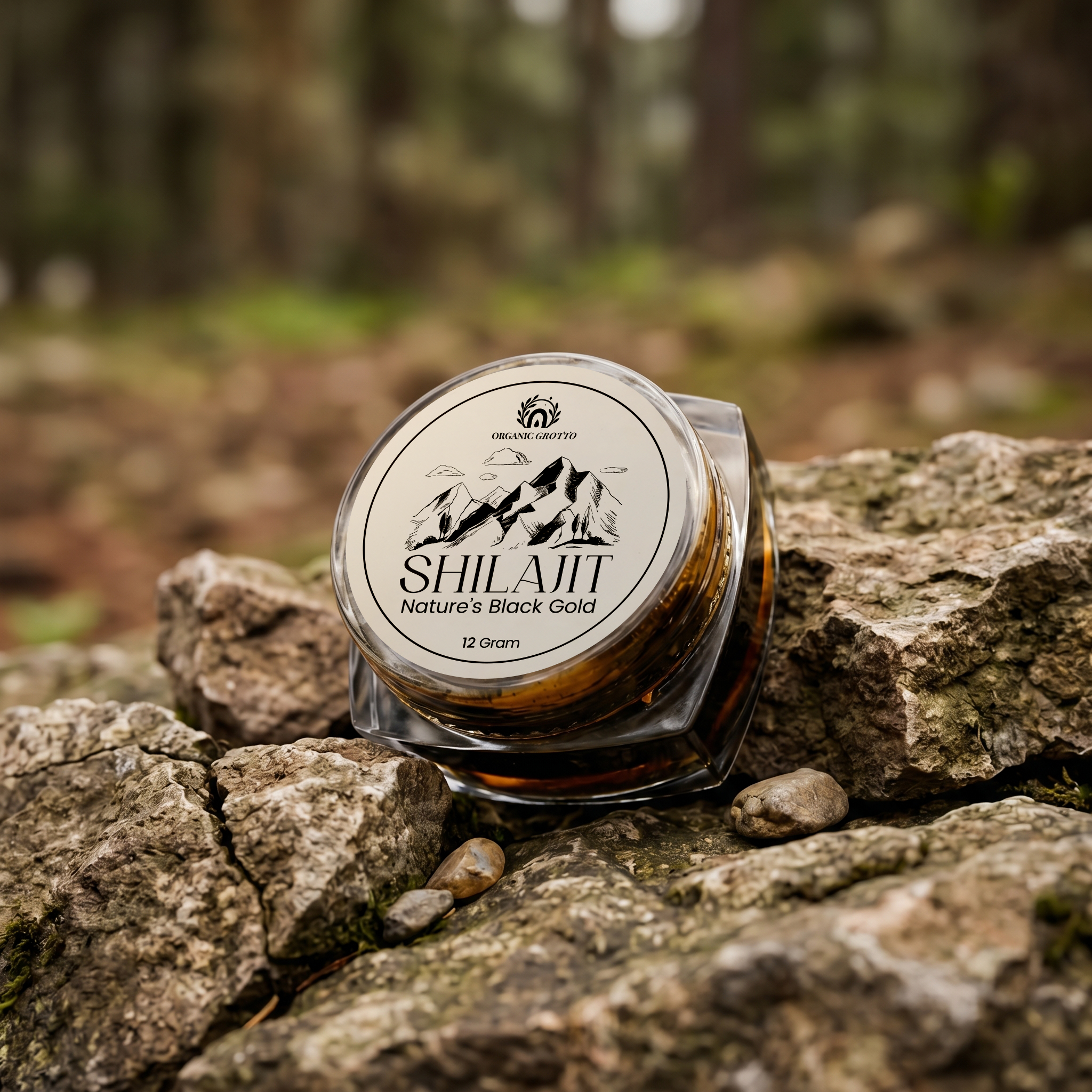 Shilajit (Salajeet)