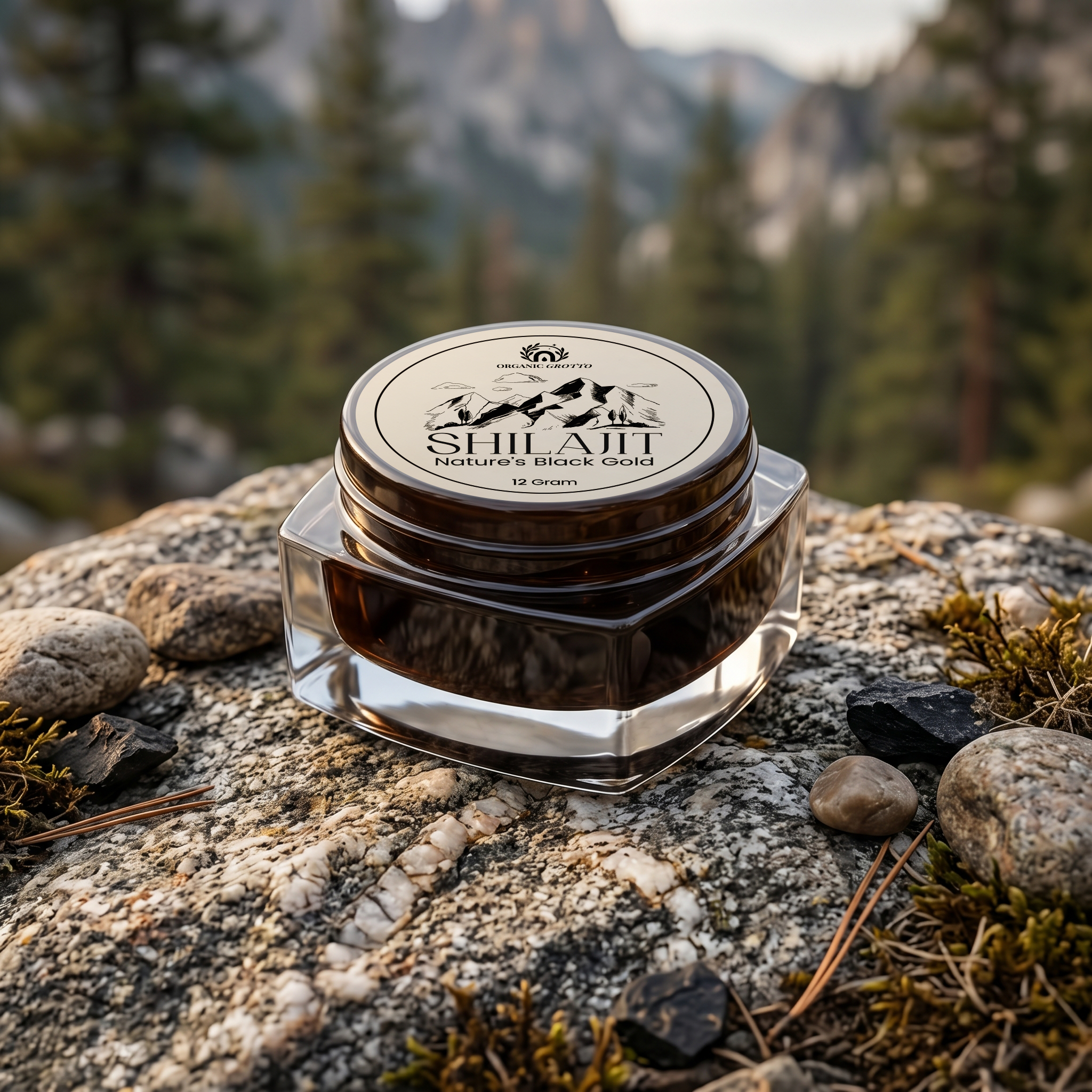 Shilajit (Salajeet)